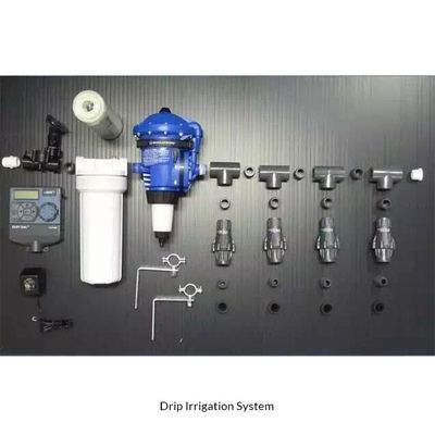 Système hydroponique verticale d'arrosage artificiel par mur vert pour les projets d'écologisation