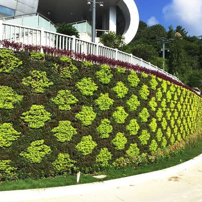 Système hydroponique verticale d'arrosage artificiel par mur vert pour les projets d'écologisation