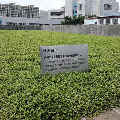 Planteur de jardin en plastique carré avec matériau HDPE et finition non revêtue
