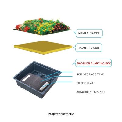 Planteur de jardin en plateau en plastique pour le jardinage