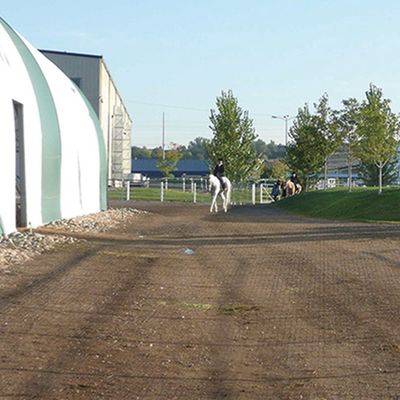 Pavés en plastique pour le sol Géocelle Gravier Paddock Grille Cheval Herbe et maison de ferme