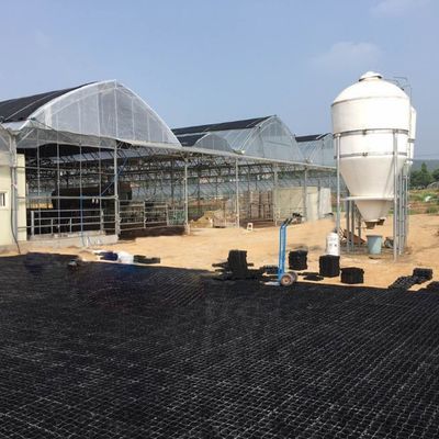Pavés en plastique pour le sol Géocelle Gravier Paddock Grille Cheval Herbe et maison de ferme