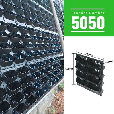 Set de kits de propagation pour les plantations verticales quotidiennes