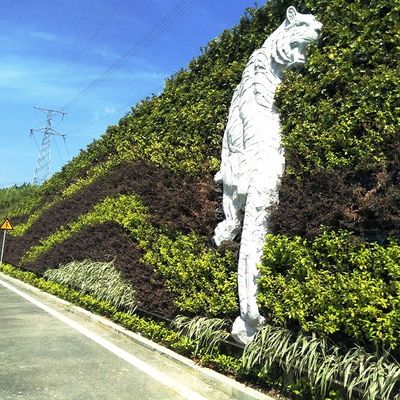 Panneau mural verticale de mousse de jardin végétal vert non recouvert Par mètre carré 4