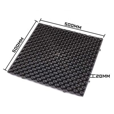 Membrane de fondation pour jardin de toit vert en HDPE pour 4 Quantité par mètre carré