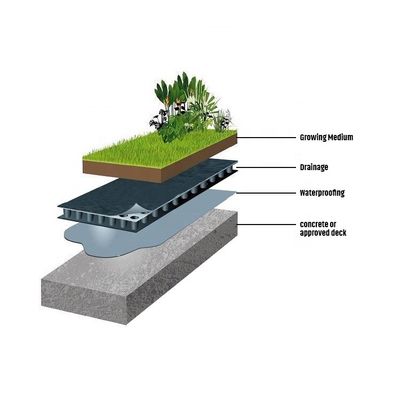 Membrane de fondation pour jardin de toit vert en HDPE pour 4 Quantité par mètre carré
