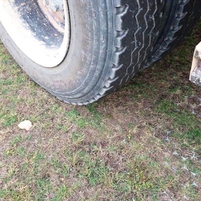 Révolutionnez votre stationnement avec l'inspection sur place de la moisissure de la grille de stationnement en herbe