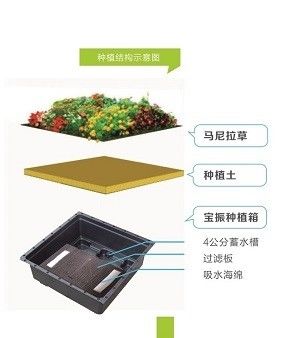 Système de plateaux de toit vert pour le verdissement du toit pot de fleurs de jardin décoratif