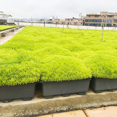 Facile à assembler pot de fleurs de jardin en plastique pour la décoration et le verdissement du jardin