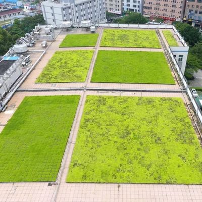 Plateau modulaire de toiture verte pour les systèmes de plantation utilisant du matériau plastique en PP sans revêtement