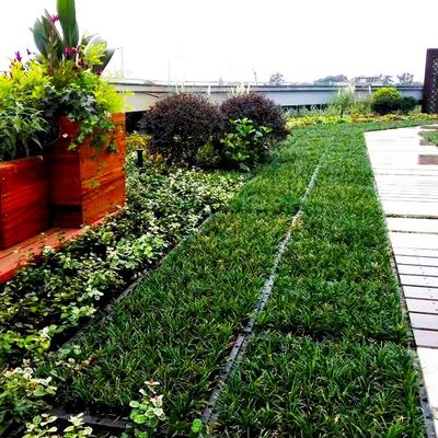 Modules de toits verts de forme carrée en PP Matériau plastique Jardin Plateau de plantation facile à installer