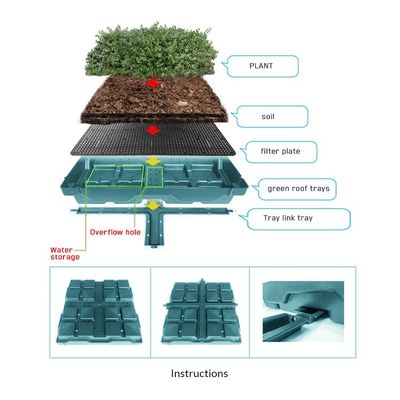 Système de plateau modulaire écologique Sedum pour la plantation de fleurs et de légumes