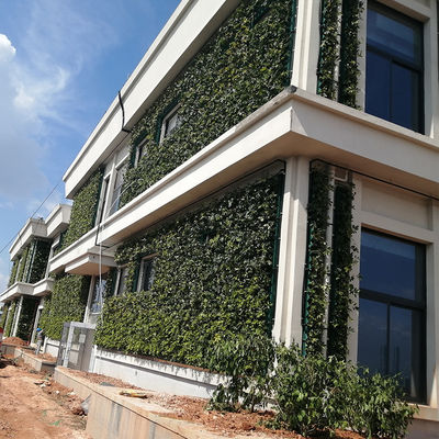 Planteurs verticaux de jardins en plastique pour la vie intérieure