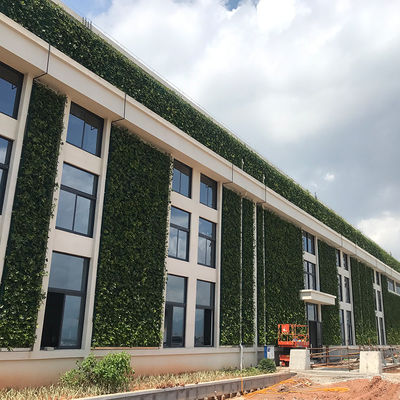 Planteurs verticaux de jardins en plastique pour la vie intérieure